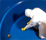 Limpeza de Caixa D'Água em Campinas