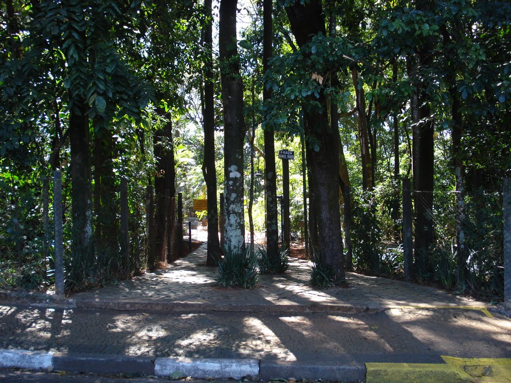 Bosque dos Italianos em Campinas