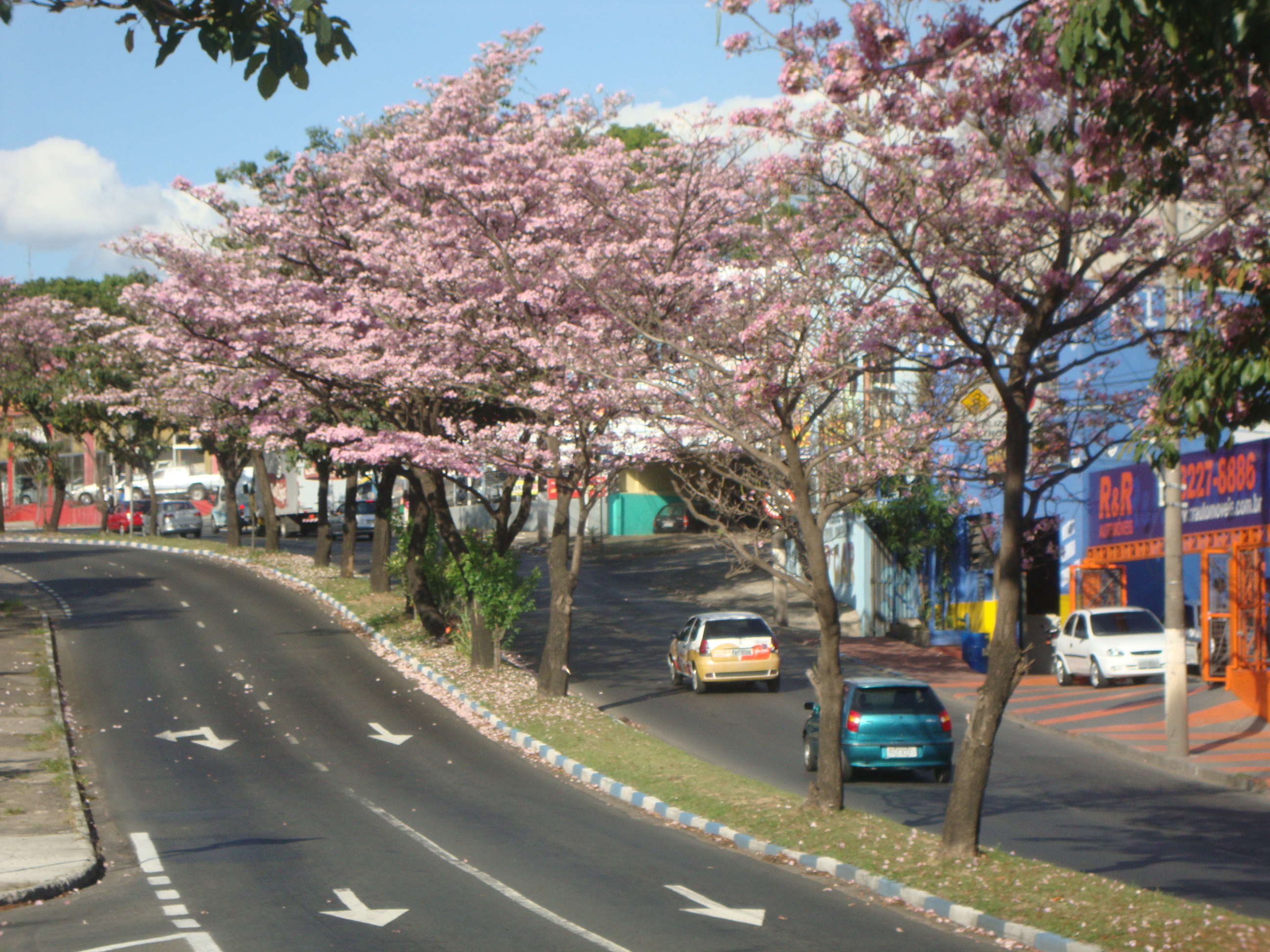 Rua Piracicaba em Campinas