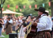 Folk Festival Music & Food