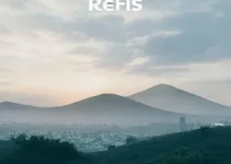 emitir a guia para pagamento à vista