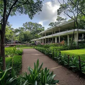 Prefeitura Municipal de Campinas