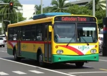 licitação do transporte público