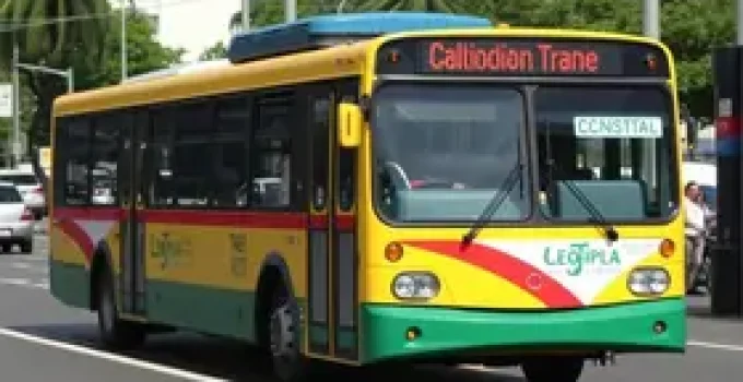 licitação do transporte público