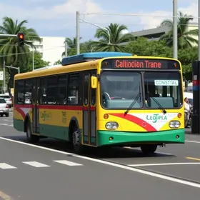 licitação do transporte público