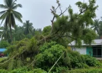 chuva em campinas