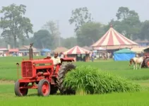 mecanização para agricultura familiar