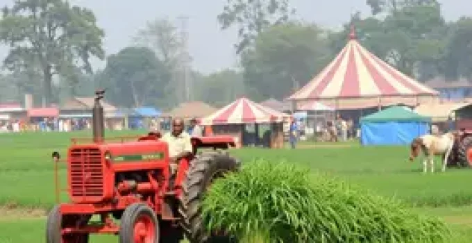 mecanização para agricultura familiar