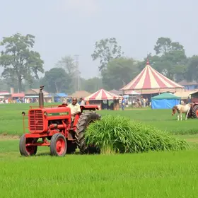 mecanização para agricultura familiar