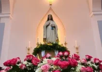 Santa Rita de Cássia