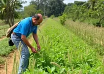 MEIs na zeladoria pública em Campinas